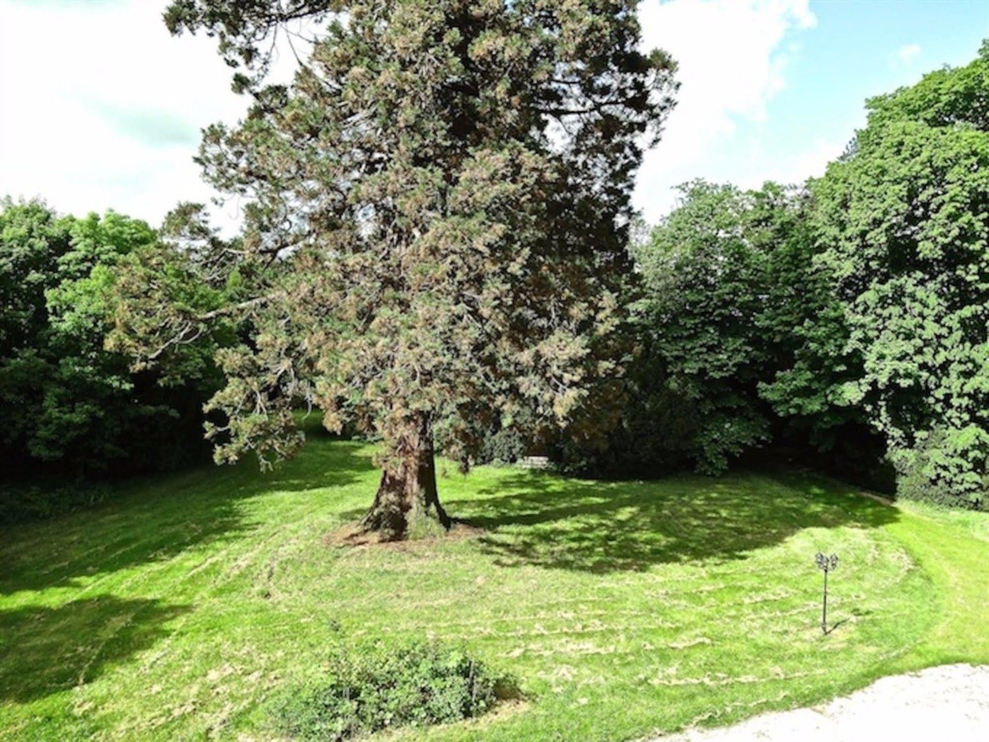 Chateau Les Vallees Tournon-Saint-Pierre Zewnętrze zdjęcie